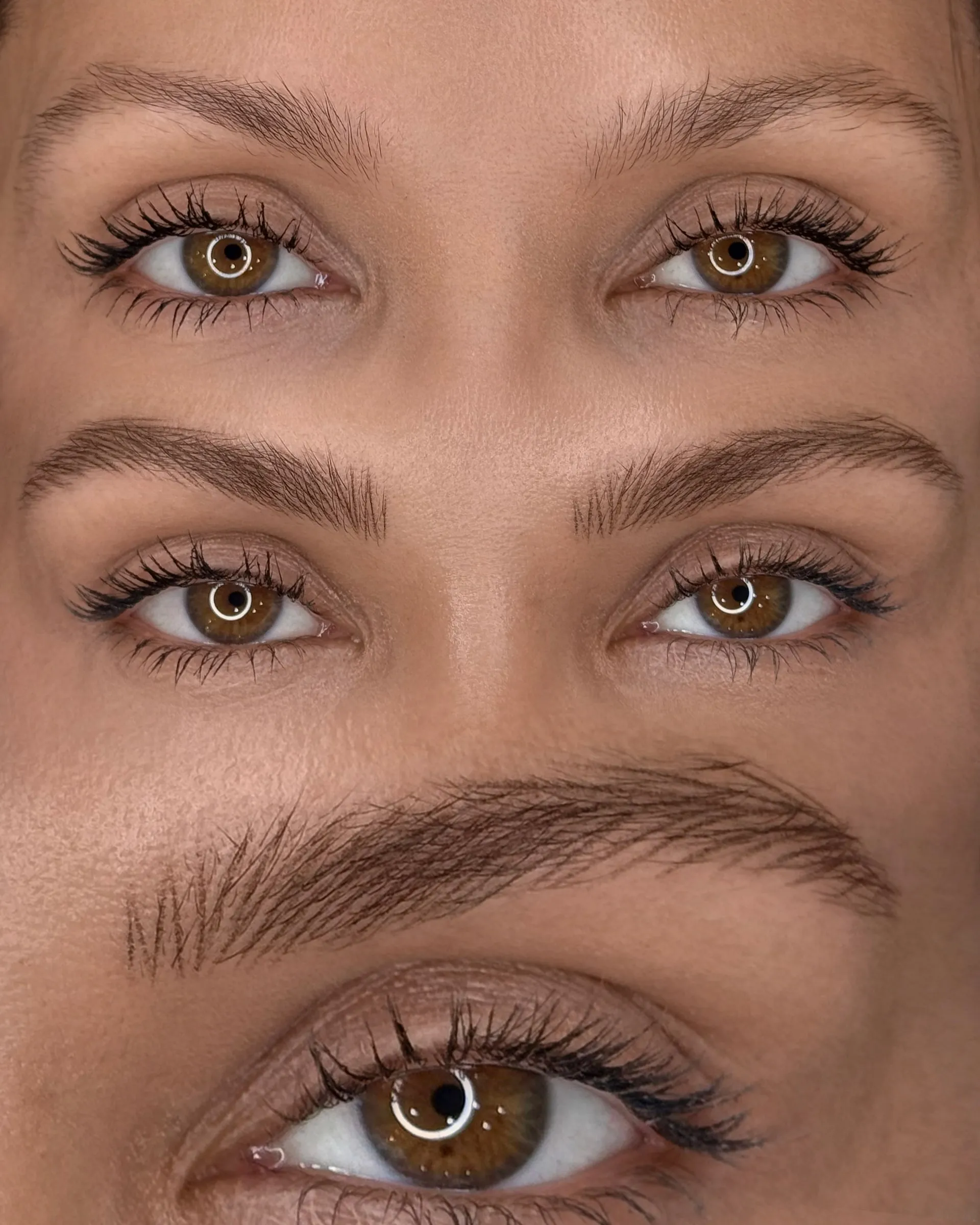 Close-up of micropigmented brows, mapped to the proportions of the face